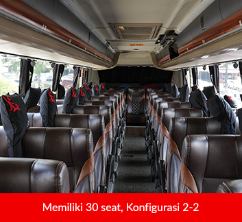 NPM Vircansa Tour Bus