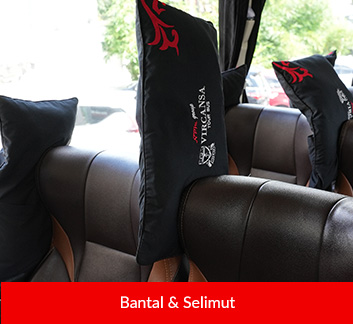 NPM Vircansa Tour Bus