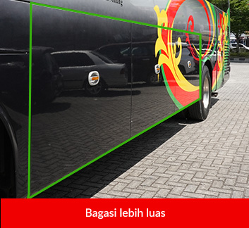 NPM Vircansa Tour Bus